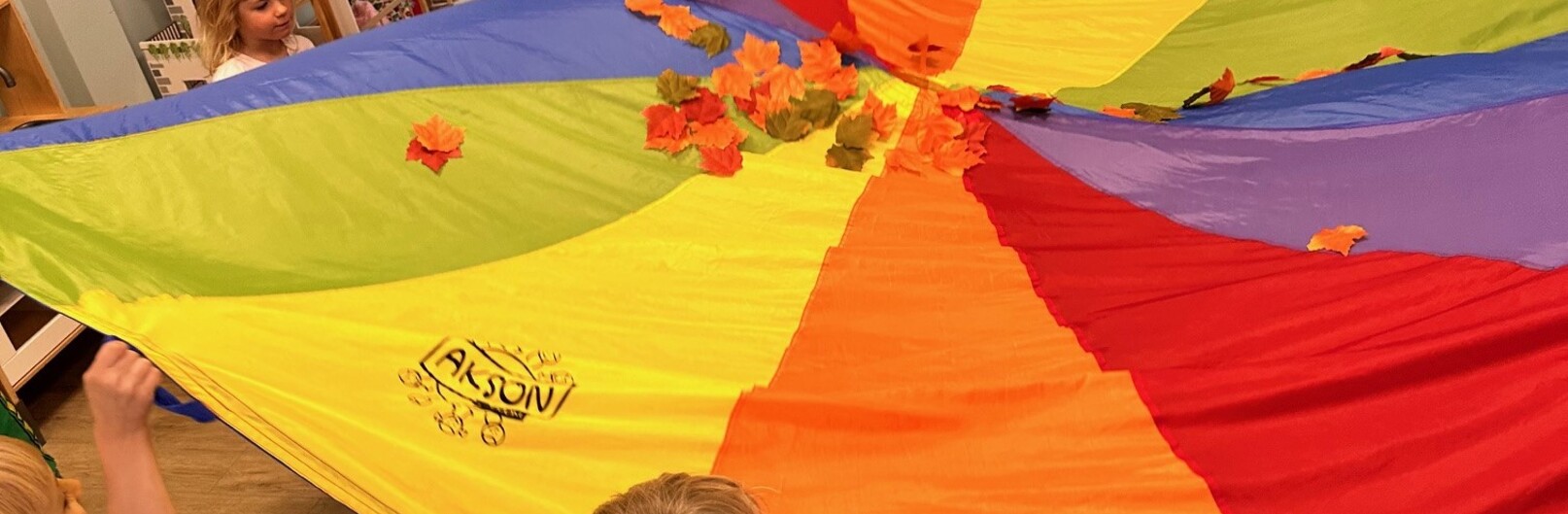 Babie lato w mróweczkach