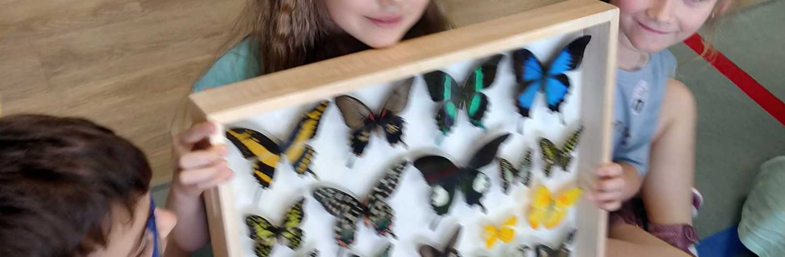 Spotkanie z motylami
