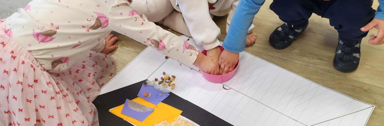 Zwierzęta domowe - Wiewiórki 