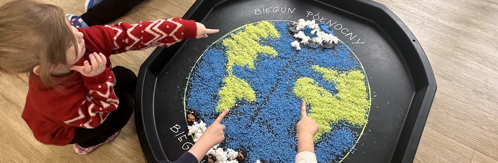 Na biegunach polarnych - grupa mróweczki