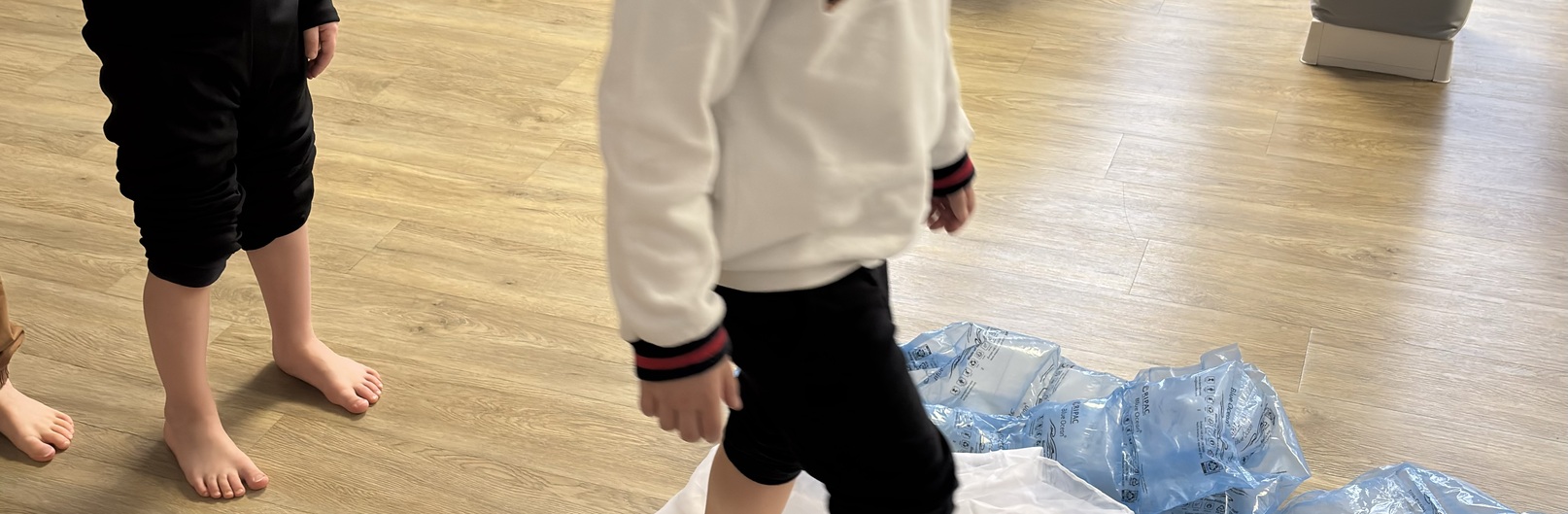 Pszczółki w krainie śniegu i lodu