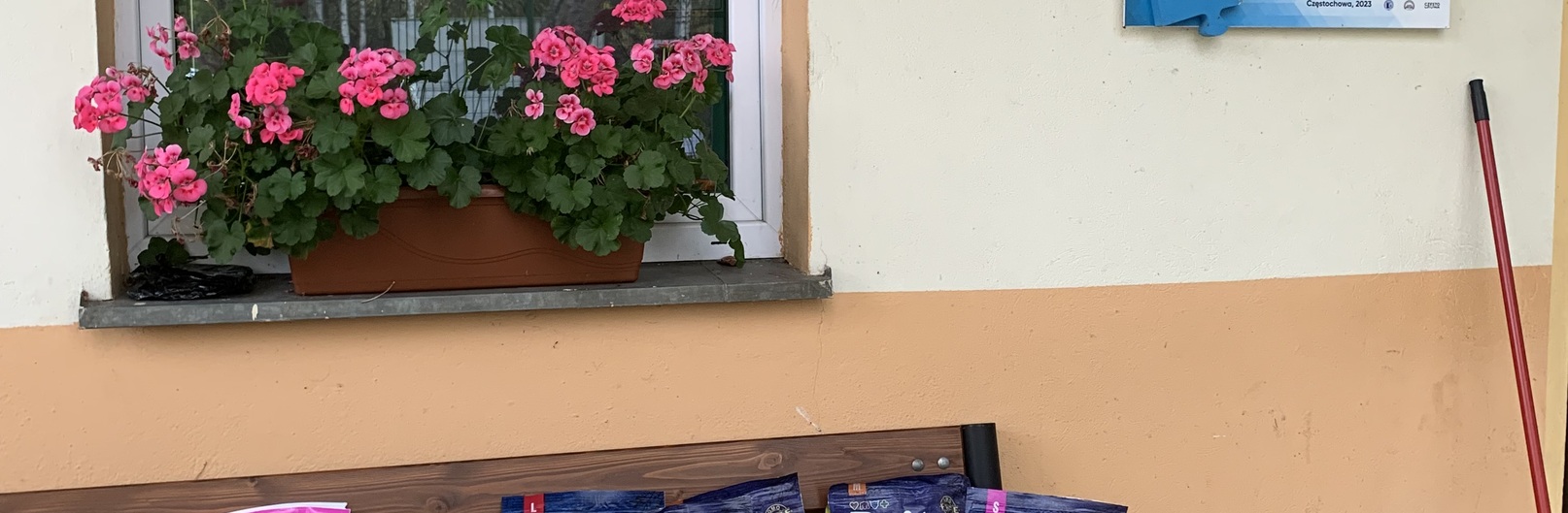 Podsumowanie zbiórki na Schronisko Bezdomnych Zwierząt
