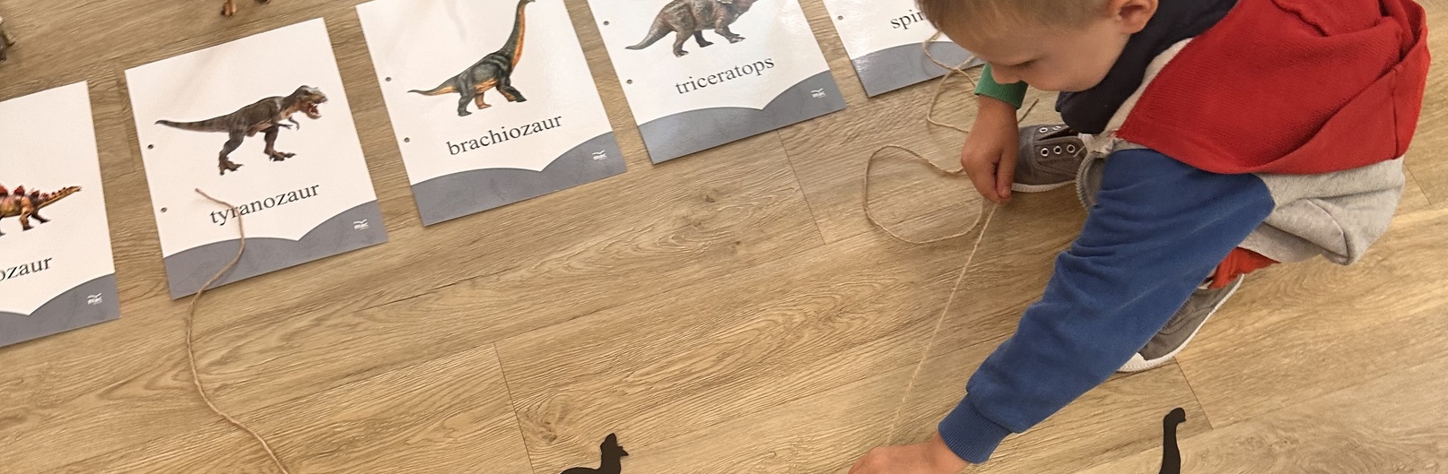 Mróweczki poznają świat dinozaurów 